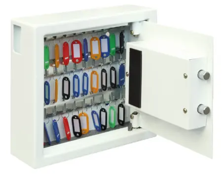 Phoenix Cygnus Key Deposit Safe